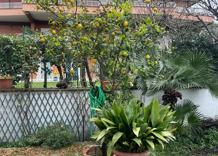 Uma Vila *