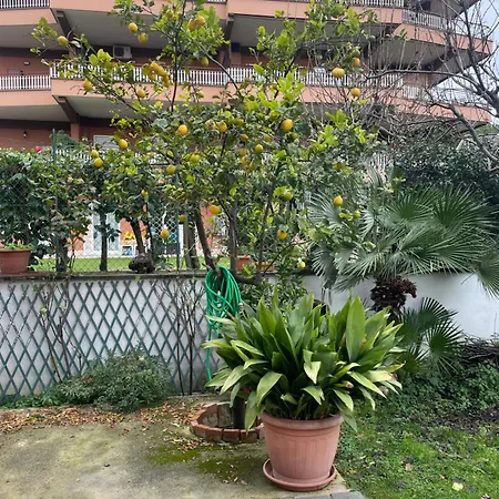 Uma Villa *